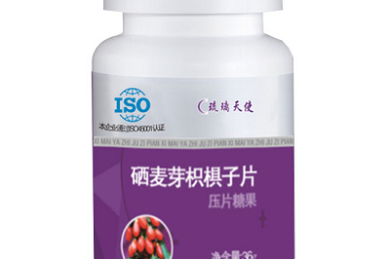 鸡排店十大品牌排行榜